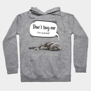 Don't hug me I'm scared Hoodie